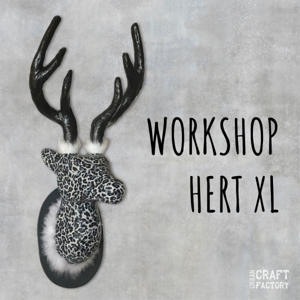 Workshop Hert XL 01
