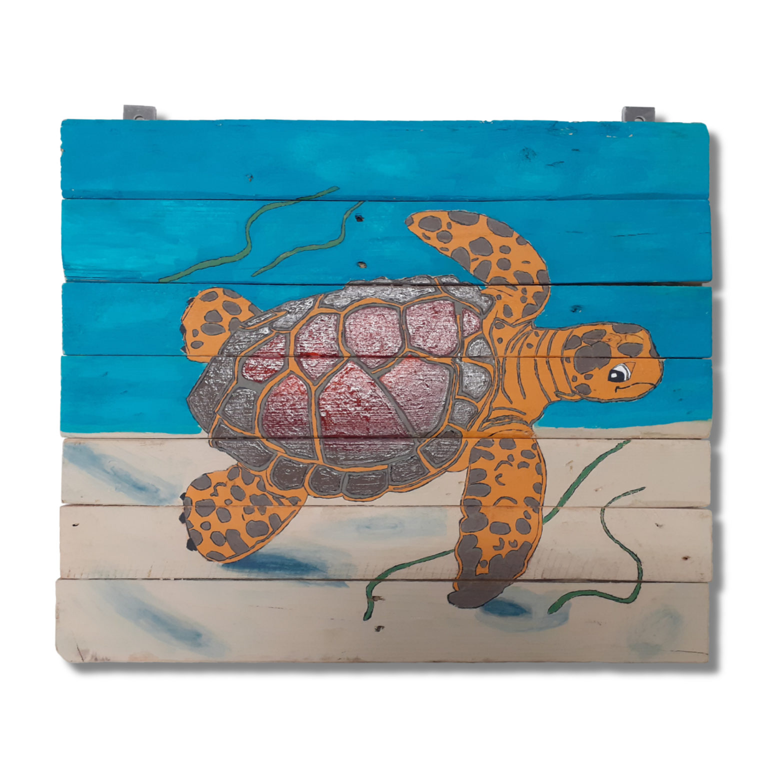 SDW Colweghe Schildpad 01 01